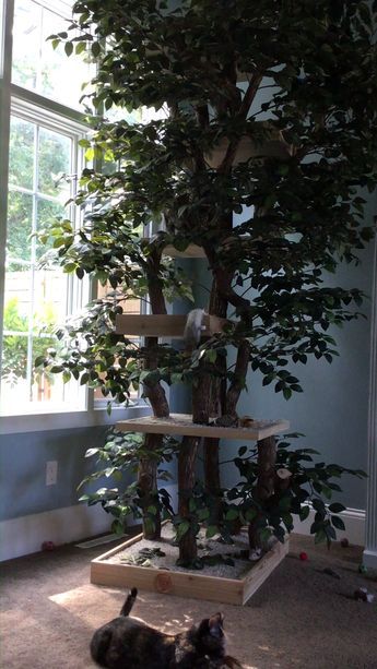 Custom Cat Trees, Katt Diy, Cat Playground Outdoor, Katt Grejer, Cool Cat Trees, Cat Patio, Cat Tree House, Diy Cat Tree, Outdoor Cat Enclosure