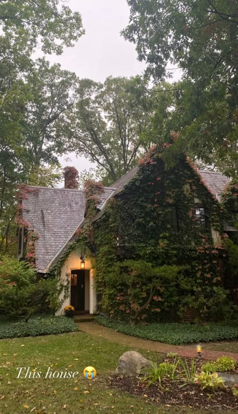 Earthy Houses Exterior, Cute Countryside House, Vintage Cottagecore House Exterior, High Society Aesthetic Modern, Old House With Vines, Cozy Old Home Aesthetic, Fall Cottage Aesthetic, Oregon Home Aesthetic, Little Cottage House Interior