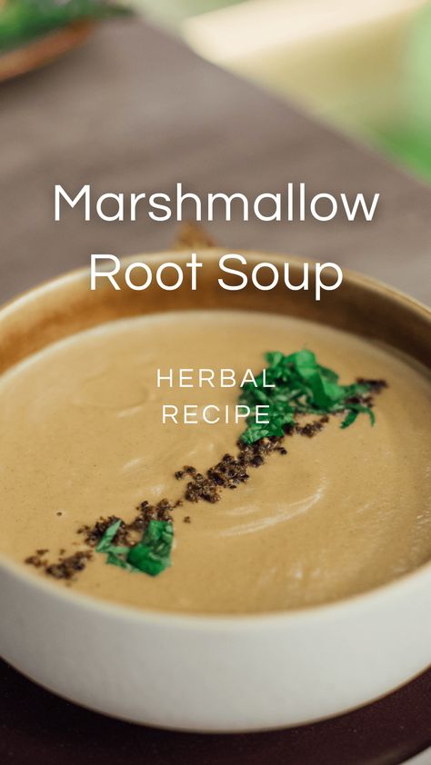 So yummy! And it's a great way to use up marshmallow root that you bought for making lip balm, etc. Marshmallow Root Marshmallows, Marshmallow Root Recipes, Recipes Using Marshmallows, Making Lip Balm, Marshmallow Root Tea, Root Soup, Puff Pastry Desserts, Sweet Soup, Dairy Free Alternatives