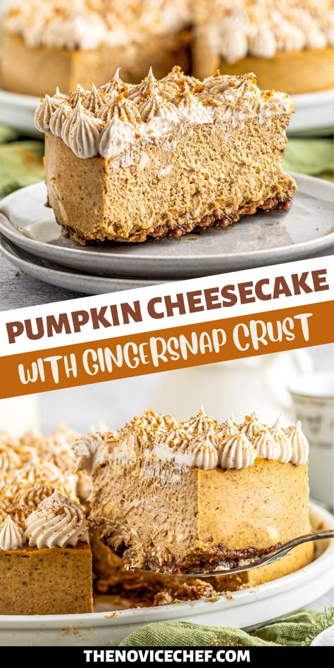 This Pumpkin Cheesecake with Gingersnap Crust is the dessert of the season! A soft, velvety pumpkin pie-like cheesecake sets atop a deliciously crunchy gingersnap crust, while classic cream cheese frosting puts the whole thing over the top. Gingersnap Pumpkin Cheesecake, Pumpkin Ginger Snap Cheesecake, Ginger Snap Cheesecake Crust, No Bake Pumpkin Cheesecake With Ginger Snap Crust, Ginger Snap Cheesecake, Pumpkin Cheesecake Gingersnap Crust, Ginger Snap Cookie Crust, Pumpkin Gingersnap Cheesecake, Gingersnap Cheesecake