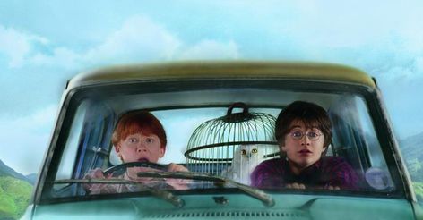 Harry Potter and the poor school transition. Ron E Hermione, Warner Brothers Studio Tour, Cosplay Poses, Fantastic Beasts Series, Film Harry Potter, School Transition, The Chamber Of Secrets, Free Tv Shows, Harry Potter And The Chamber Of Secrets