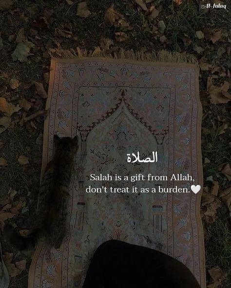 𝐀𝐥-𝐅𝐚𝐥𝐚𝐪 on Instagram: "𝐑𝐚𝐦𝐚𝐝𝐚𝐧 𝐃𝐚𝐲 13🌙🤍✨ . . Follow me @al_.falaq For daily Islamic Posts 💕💖 . . . . . . . . . . . . . . . . . . . 📸Credits to @al_.falaq…" Ramadan Day 13, Islamic Dp Quotes, Best Ramadan Quotes, Islam Aesthetic, Al Qur'an Aesthetic, Islam Ramadan, Lonliness Quotes, Islamic Wallpaper Iphone, Keep Praying