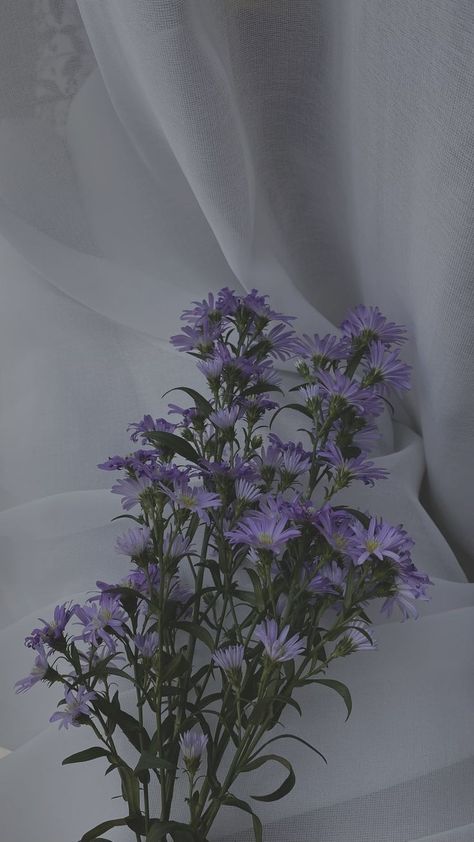 Petal Wallpaper, Iphone Wallpaper Violet, Lavender Aesthetic, Flowers Photography Wallpaper, Blue Aesthetic Pastel, Lovely Flowers Wallpaper, New Background Images, Iphone Wallpaper Themes, Iphone Wallpaper Vintage