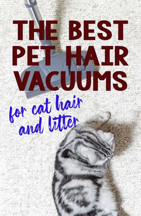 The Best Pet Hair Vacuums for Dealing With Cat Hair and Litter Pet Hair Vacuum, Hair Dusting, Pet Vacuum, Pet Brush, Pet Cleaning, Best Vacuum, Roller Brush, Upright Vacuums, Cat Hair