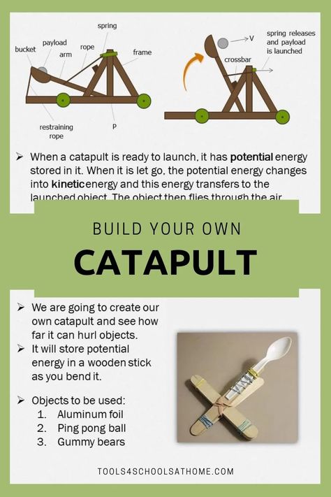 Mechanical Energy Experiments For Kids, Motion Science Project, Potential And Kinetic Energy Projects, Potential Kinetic Energy, Energy Conversion Projects, Kinetic Energy Experiments For Kids, Kinetic Vs Potential Energy Activities, Kinetic And Potential Energy Experiments, Kinetic Energy Projects