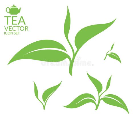 Tea. leaves on white background. Vector illustration EPS #Sponsored , #Ad, #Paid, #leaves, #illustration, #EPS, #white Tea Leaves Illustration, Tea Vector, Tea Packaging Design, Leaves Illustration, Leaves Vector, Tea Packaging, Icon Set Vector, Tea Leaves, Art Logo