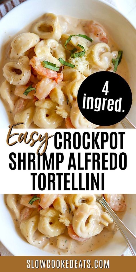 This delicious Crock Pot Shrimp Alfredo tortellini is a guaranteed crowd-pleaser! And the best part? It's super easy to make! This creamy, cheesy dish features the classic Alfredo sauce combined with shrimp and tortellini that's cooked right in the pot. You'll have a hearty, hearty dinner ready with only 4 ingredients and slow cooker! Slow Cooker Alfredo Tortellini, Chicken And Shrimp Alfredo Crockpot, Pescatarian Crock Pot Recipes, Shrimp Easy Dinner, Seafood Pasta In Crockpot, Pescatarian Crockpot Meals, Shrimp Alfredo Pasta Crockpot, Crockpot Seafood Alfredo, Slow Cooker Shrimp Pasta