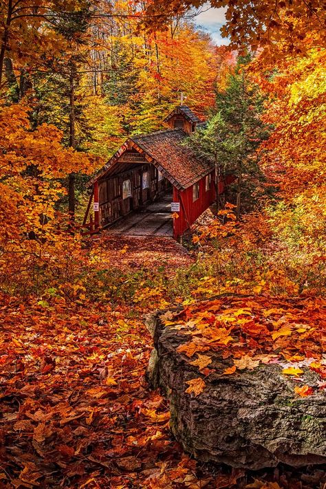 Joshuas Crossing, Lake Ann, Michigan 📍 | Autumn scenery, Autumn photography, Fall pictures Acadia Maine, Mountain Trail, Autumn Colours, Covered Bridge, Autumn Scenery, Harvest Season, Wallpaper Vintage, Acadia National Park, Autumn Beauty