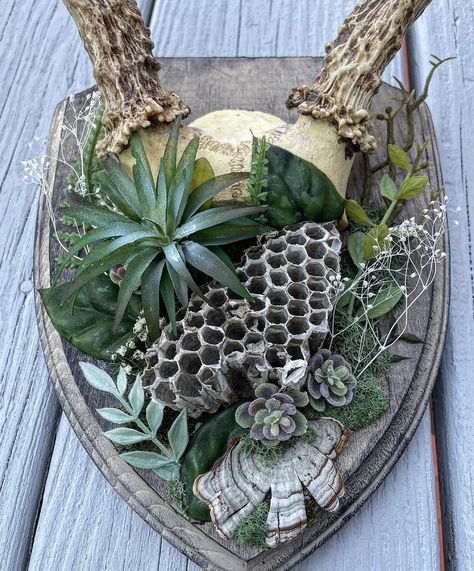 Moss Covered Skull, Witchy Wall Art Diy, Antler Decor Diy, Animal Bones Crafts, Oddities Crafts, Oddities Decor Diy, Bone Art Diy, Oddity Crafts, Bone Terrarium