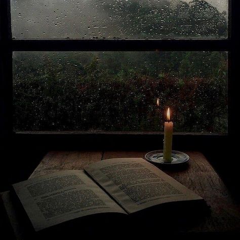 ya boi leo on Instagram: “dark academia sets this pretentious aura around everything it touches and reading is no exception. you don't have to only read 1820s…” Dark Academia Pictures, Dark Academia Widget, Acedamia Aesthetic, Dark Academia Phone, Dark Academia Library, Book Tag, Candles Dark, Dark Acadamia, Wrote A Book