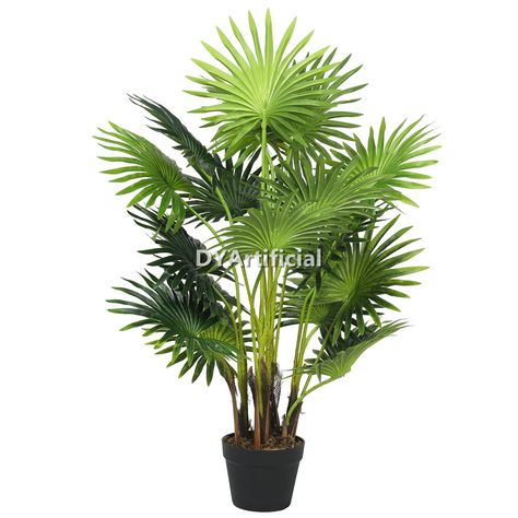 Mini Fan Palm Tree, standing at 100cm tall! 🌴🌿 Our lifelike plant will instantly enhance the ambiance of any room with its natural beauty and charm. As a trusted artificial plants manufacturer, we pride ourselves on delivering the most realistic and high-quality plants on the market that require no maintenance or watering. Contact us at info@dyartificial.com to transform your indoor space with our lifelike artificial plants and enjoy the beauty of nature year-round! 📧 Fake Palm Tree Outdoor, Faux Palm Tree Outdoor, Fan Palm Tree, Artificial Palm Tree, Artificial Kentia Palm, Arica Palm, Areca Palm, Fan Palm, Mini Fan