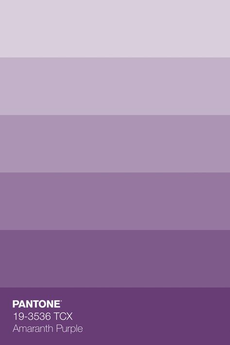 Violet Pallet Color, Purple Pastel Color Palette, Pastel Purple Color Palette, Color Palette Violet, Light Purple Color Palette, Colour Palette Purple, Lavanda Color, Pastel Pantone, Purple Monochromatic
