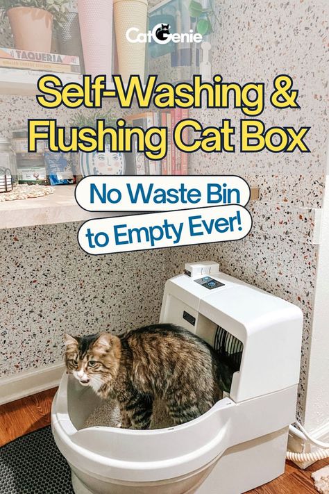 Self washing and flushing cat box. no waste bin to empty ever. Homemade Litter Boxes Diy, Best Self Cleaning Cat Litter Boxes, Elevated Cat Litter Box Ideas, Best Cat Litter Boxes, Automatic Cat Litter Box Ideas, Cat Litter Room Ideas, Cat Litter Set Up, Self Cleaning Litter Box Cats, Puppy Litter Box Ideas