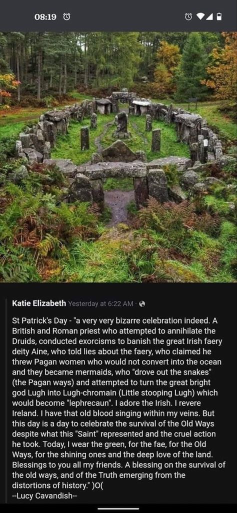 Celtic Myth, Celtic Druids, Ancient Ireland, Irish Folklore, Old Blood, Legends And Myths, Celtic Mythology, Kitchen Witch, Writing Inspiration