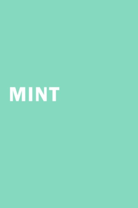 ::: Just mint ::: Mint Aesthetic, Aqua Mint, Minty Green, Ideas Vintage, Mint Blue, Colour Board, Mint Color, Cool Stuff, Seafoam Green