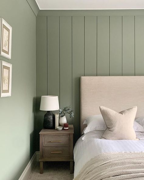 Colour Palette Green, Shiplap Living Room, Palette Green, Calm Color Palette, Soft Sage Green, Scottish Homes, Calming Bedroom, Chimney Breast, Night Sleep