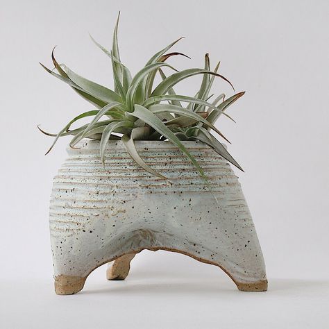 Handmade ceramic planter displayed with an airplant Pottery Plant Pots, Large Ceramic Planters, Handmade Ceramic Planters, Ceramics Pottery Vase, Pottery Pots, Organic Ceramics, Handmade Planter, Hand Built Pottery, Ceramic Flower Pots