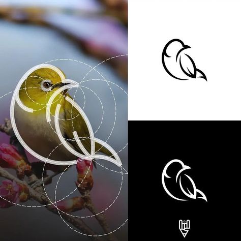 Bird Logo Inspiration, Bird Logo Design, Bird Graphic, Creation Art, Bird Logo, Luxury Logo Design, Bird Logos, Pet Logo Design, Beautiful Logos