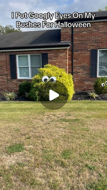 Kids On Kerth Road on Instagram: "I Put Googly Eyes On My Bushes For Halloween. It makes them look like muppets and I love it! #spookyseason #halloweentrends #skeletons #spookyscaryskeletons #halloween #halloweenlook #halloweenvibes #muppets #halloweendecor #homedepotskeleton #snl ##snlsketch #christopherwalken #googlyeyes #googlyeyeschallenge #kidsonkerth #skeletonsonkerthroad" Halloween Eyes In Bushes, Halloween Trends, Christopher Walken, Halloween Eyes, Googly Eyes, Spooky Scary, Halloween Inspiration, Halloween Looks, Halloween House