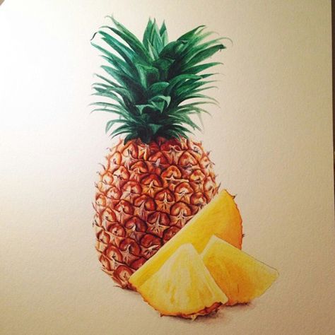 “Love the details on this pineapple by @lizbehavin🍍 ♢ Tag art to #arts_gallery for a chance to get featured, kik ninanawdis for paid publications 😊” Realistic Drawing Ideas, Pineapple Drawing, Pencil Artists, Rose Ideas, Realistic Rose, Realistic Drawing, Arts Gallery, Instagram Help, Fruit Painting