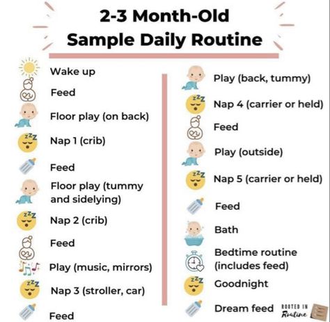 2 Month Old Routine, Routine For 3 Month Old Baby, Sample 3 Month Old Schedule, 2 Month Old Bedtime Routine, 2 Month Old Schedule Daily, 2-3 Month Old Schedule, 3 Month Old Routine, 2 Month Old Schedule, 3 Month Old Schedule