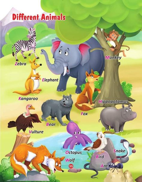 Animals Name With Picture, Picture Story For Kids, Deutsch Language, Preschool Pictures, Animal Activities For Kids, Fun Worksheets For Kids, English Learning Books, Preschool Classroom Decor, Diy Puzzles