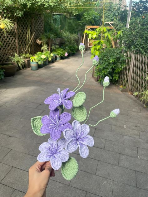 Australian native flowers