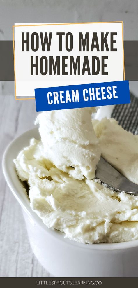 How To Make Cheese From Milk, How To Make Homemade Cream Cheese, Homemade Cream Cheese Recipes, Cream Cheese Sauce Sweet, How To Make Cheddar Cheese, How To Make Cream Cheese At Home, How To Make Cream Cheese, Cheese From Milk, Diy Cream Cheese