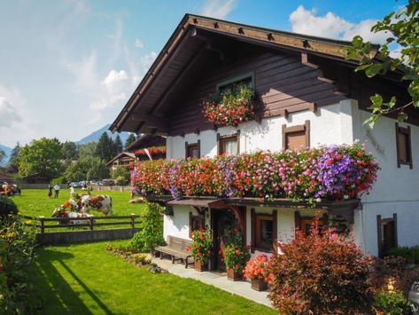 Austrian Farmhouse, Swiss Chalet House Exterior, Swiss Chalet Exterior, Austrian House, Austria House, Alpine Architecture, Switzerland House, Chalet Exterior, European Houses