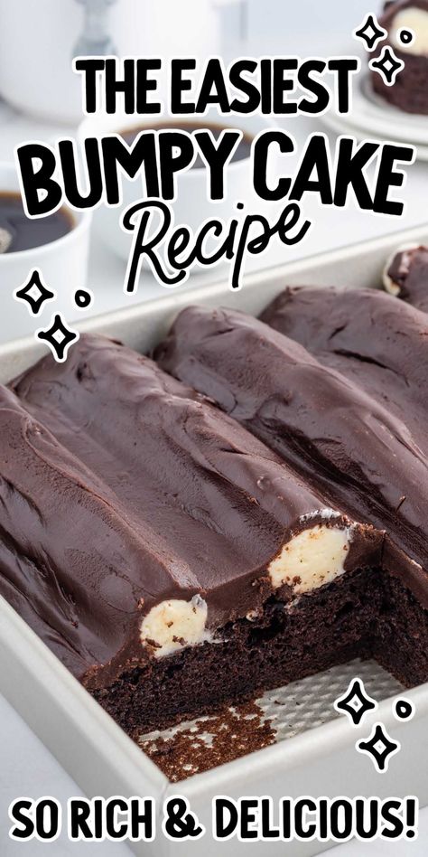 Michigan Bumpy Cake Recipe, Chocolate Bumpy Cake Recipe, Bump Cake Recipe, Bumpy Cake Cupcakes, Sanders Bumpy Cake Recipe, What To Do With Chocolate Cake Mix Boxes, Texas Sheet Cake Bundt Cake Recipe, Square Cake Recipe, Unique Birthday Cake Recipes