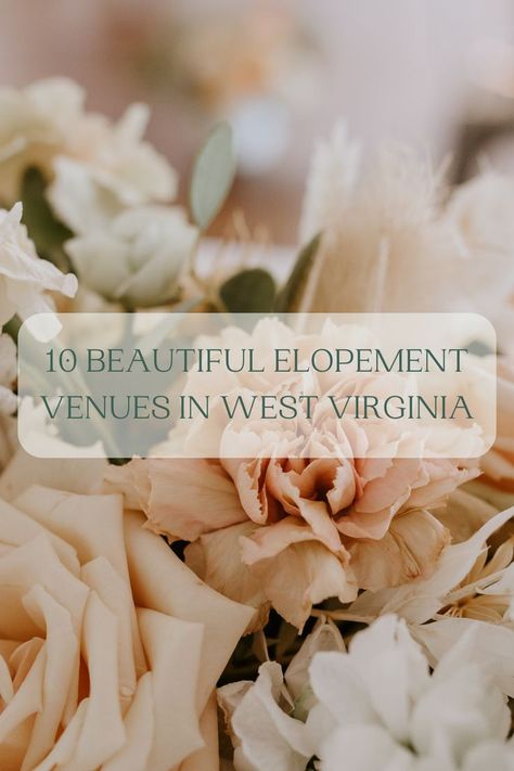 10 beautiful venues for a west virginia elopement Sage Photography, Elopement Venues, Virginia Elopement, West Virginia Wedding, Intimate Ceremony, Elopement Ceremony, Mountain Elopement, Virginia Wedding Photographer, Elopement Locations