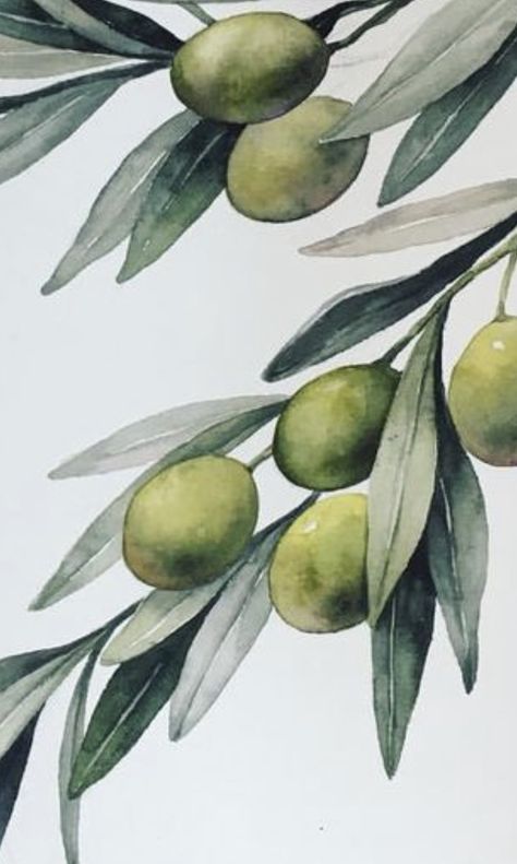 Olive Branch Painting Acrylic, Olive Branch Painting, Olive Branch Art, Olive Tree Painting, Dotted Drawings, Olive Leaves, Watercolor Fruit, Watercolor Plants, Easy Drawings Sketches