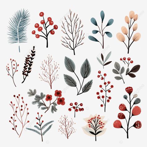 winter floral design elements in hand drawn style christmas doodle plants berries branches set lea Winter Leaves Illustration, Christmas Floral Doodle, Christmas Floral Drawings, Christmas Plants Drawing, Winter Plants Illustration, Christmas Plants Illustration, Winter Foliage Illustration, Simple Christmas Illustration, Christmas Flowers Drawing