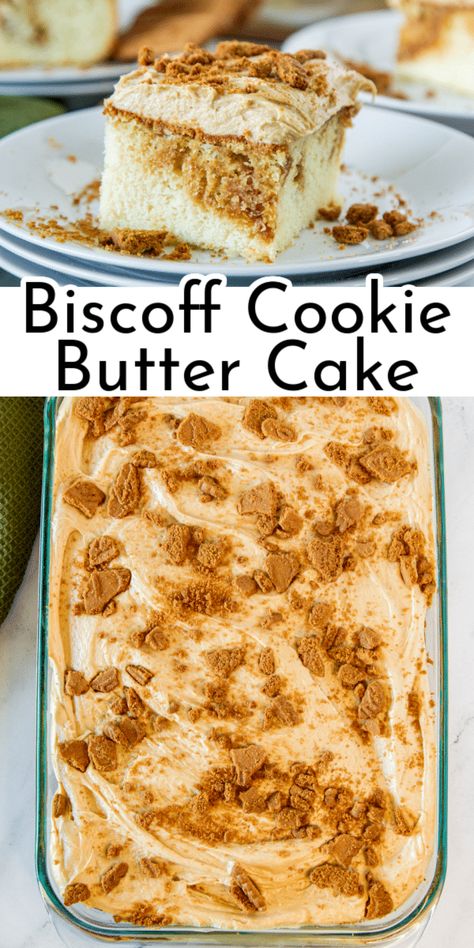 This easy 9x13 Biscoff Cake recipe is filled with Biscoff cookie butter spread and topped with creamy homemade Biscoff frosting. via @nmburk Brownie Cake With Cookie Butter Frosting, Dessert Cookoff Ideas, Biscoff Cookie Cake Recipe, Cookie Butter Poke Cake, Biscoff Dump Cake, Vanilla Biscoff Cake, Bischoff Cake Recipe, Deserts With Cookie Butter, Biscoff Box Cake