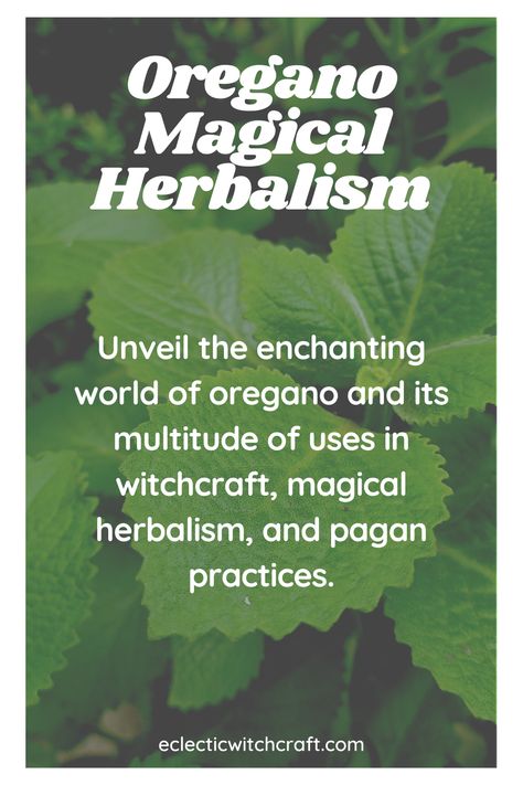 Oregano Witchcraft, Oregano Magical Properties, Oregano Oil Benefits, Oregano Essential Oil, Oregano Oil, Oregano Leaves, Respiratory Health, Magic Herbs, Culinary Herbs