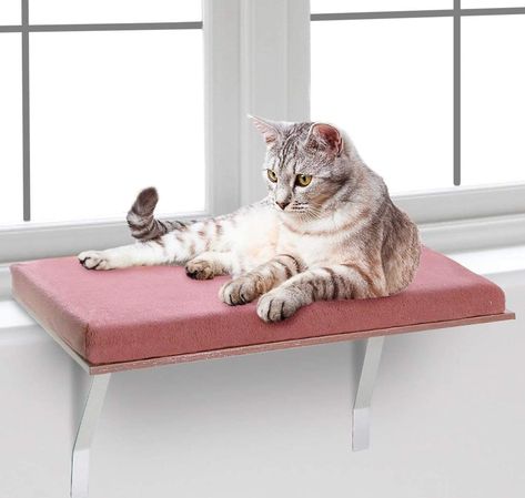 6 Best Window Sill Extender - How to Enlarge a Window Sill | Apartment Therapy Cat Perch Diy, Pets Furniture, Diy Cat Food, Cat Window Bed, Shelf Bed, Cat Window Hammock, Heated Cat Bed, Raised Dog Beds, House Pets