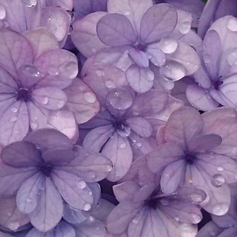 Purple Aesthetic Background, Violet Pastel, Violet Aesthetic, Purple Vibe, Yennefer Of Vengerberg, Lavender Aesthetic, Purple Themes, Rainbow Aesthetic, Color Lila