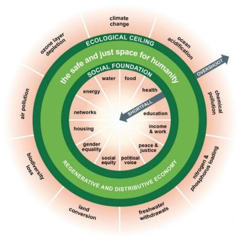 Doughnut Economics, System Thinking, Social Boundaries, Ozone Depletion, Ocean Acidification, Economic Model, Systems Thinking, Ozone Layer, Economic Activity