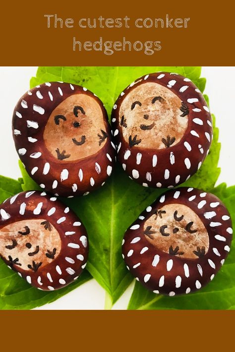 Create the cutest little hedgehogs from conkers in this adorable autumn and conker craft for kids. Conkers Craft, Buckeye Crafts, Fall Crafts For Toddlers, Nature Hunt, Nursery Preschool, Nature Environment, Easy Fall Crafts, Fall Crafts For Kids, Cute Hedgehog