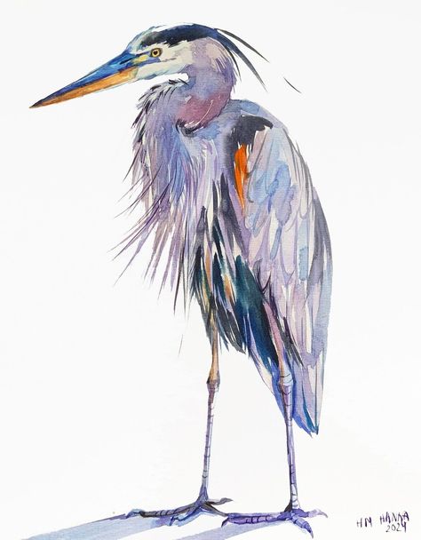 HAND PAINTED GREAT BLUE HERON, MARSH BIRD, OCEAN BIRD, HERON PAINTING, HERON ART Heron Bird, Heron Art, Great Blue Heron, Art Watercolor Painting, Bird Painting, Blue Heron, Bird Drawings, Watercolor Bird, Wildlife Art