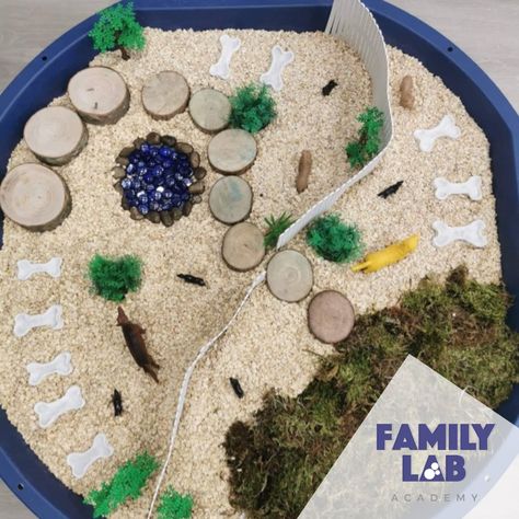 Pets Sensory Bin, Pet Themed Sensory Bin, Pet Theme Stem Activities, Pets Theme Sensory Table, Pets Preschool Theme Reggio, Pet Vet, Dog Activities, Dog Park, Sensory Activities