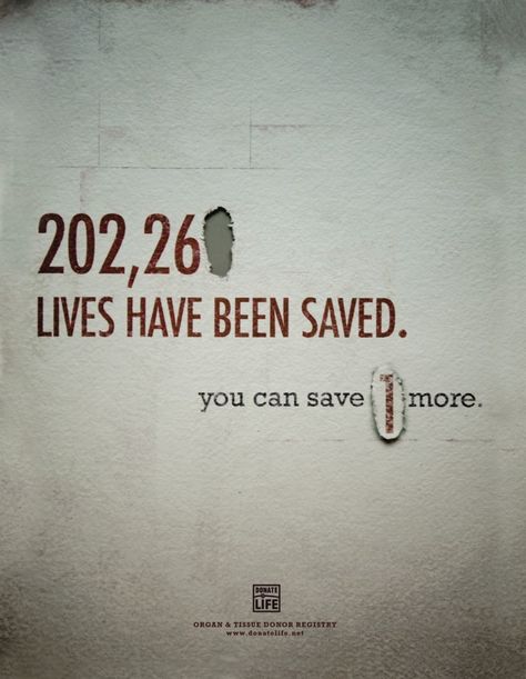 Organ Donation Quotes, Organ Donation Poster, Donation Poster, Donation Quotes, Donate Life, Government Website, Organ Donor, Organ Donation, Communication Art