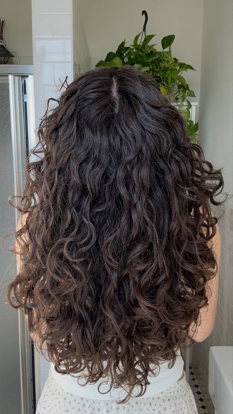 Layers With Wavy Curly Hair, Curly Haircuts Long Layers, Wavy Hair Haircut Layers, Long Layers With Curly Hair, 2b Hair Layers, 2c Hair Cuts With Layers, 2c Hair Layers, Brown 2c Hair, V Shaped Haircut With Layers Curly Hair