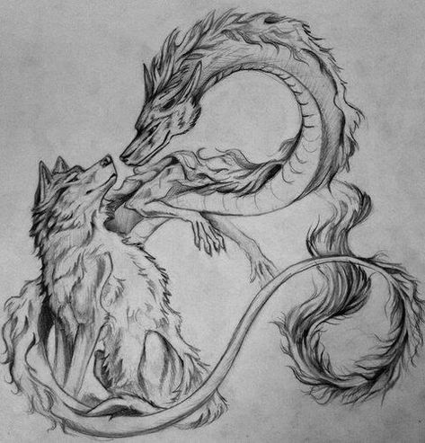 Tattoo Wolf Back Piece Tattoo, Wolf Dragon Art, Wolf Tattoo Aesthetic, Wolf And Dragon Tattoo, Wolf Dragon Tattoo, Wolf Tattoo Design Sketches, Wolf Art Tattoo, Dragon Sketch Tattoo, Dark Wolf Tattoo