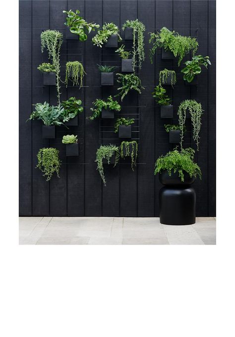 Architectural Planters, Indoor Plant Wall, Wall Planters Indoor, Wall Mounted Planters, Window Treatments Living Room, Hanging Plant Wall, Box Wall, Indoor Outdoor Planter, Walled Garden