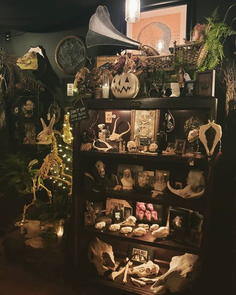 Goth Vintage Room, Cryptidcore Room Aesthetic, Skull Collection Display, Goth Boho Decor Bedroom, Oddity Room, Bong Decorating Ideas, Dark Boho Aesthetic, Boho Goth Decor, Forest Witch Aesthetic