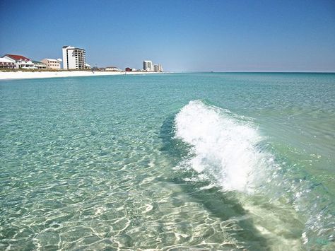 Crystal Clear Waters of Navarre Beach FL     I love the clear water...its like swimming pool clear Navarre Beach Florida, Navarre Beach, Florida Panhandle, Florida Sunshine, Beautiful Water, Pensacola Beach, Emerald Coast, Destin Florida, Florida Vacation