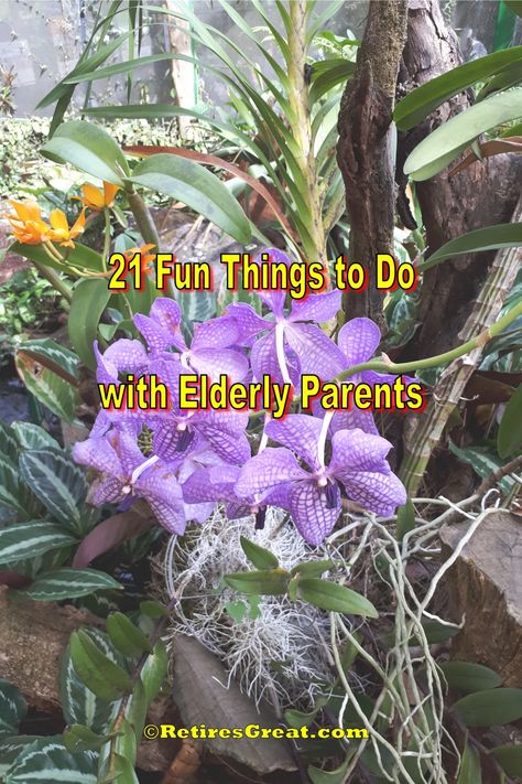 Things To Do With The Elderly, What To Do With Your Grandma, Activities To Do With Grandparents, Fun Things To Do With Grandma, Things To Do With Elderly People, Things To Do With Grandma, Things To Do With Your Grandma, Things To Do With Grandparents, Activities For Elderly