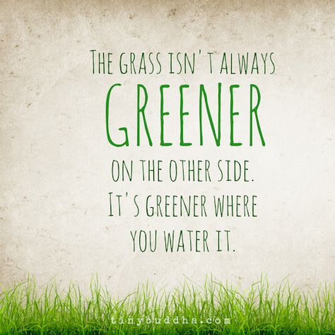 The Grass Is Greener Where You Water It - Tiny Buddha  Something good to remember! The Grass Is Greener, Grass Is Greener, Green Quotes, Tiny Buddha, Buddhism Quote, Buddhist Quotes, Sprinklers, Meditation Quotes, Buddha Quotes