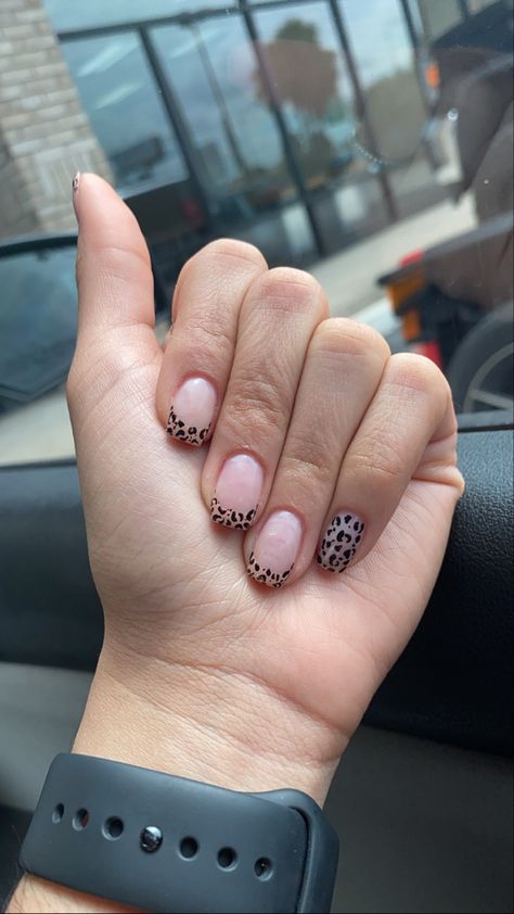 Cheetah Nails Acrylic, Silver Nail Art Designs, Black And Silver Nail Art, Amazing Nail Art Designs, Nail Art Designs 2023, Summer Nail Art Ideas, Art For Short Nails, Cowboy Nails, Cheetah Nail Designs